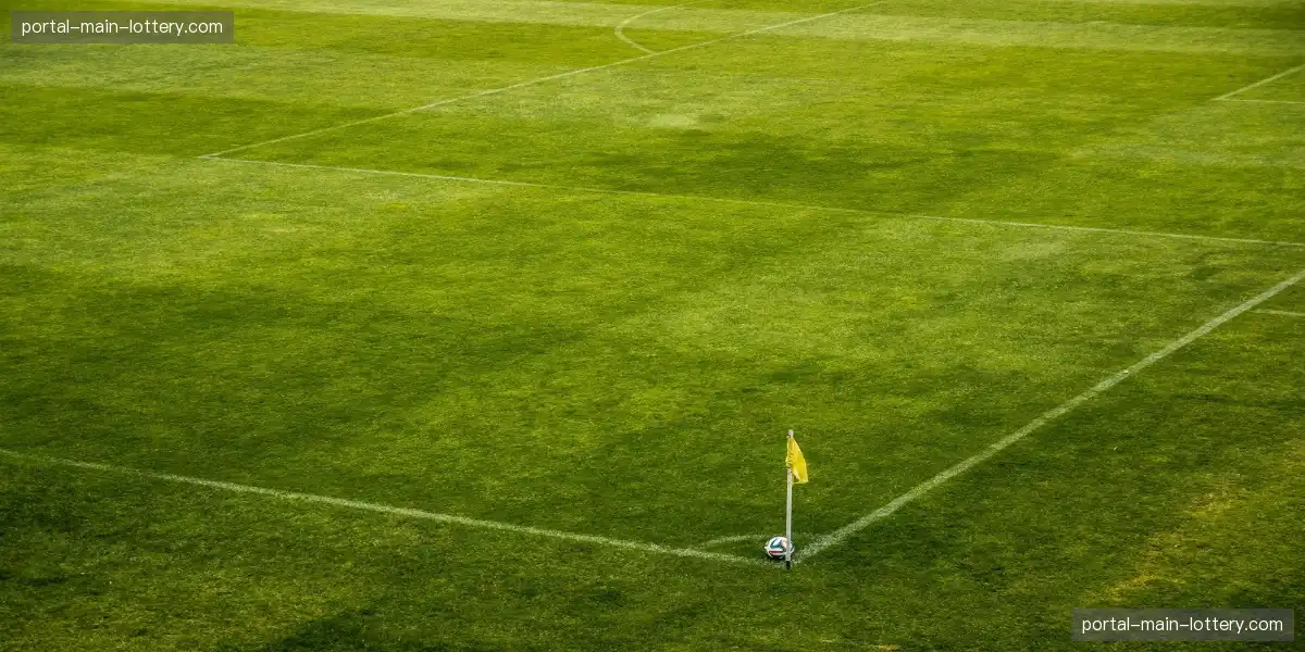 📸 抓住冠军振臂瞬间，永恒经典不容错过，历史瞬间由你定格！💎